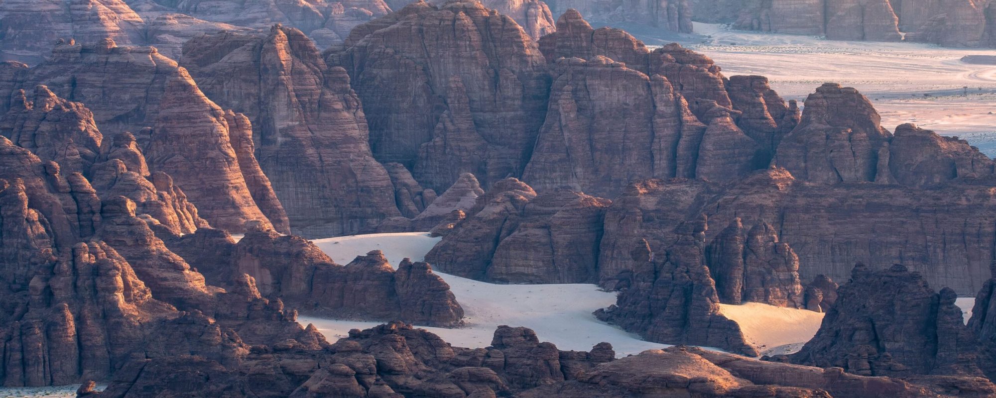 NEOM Landscape-min-min